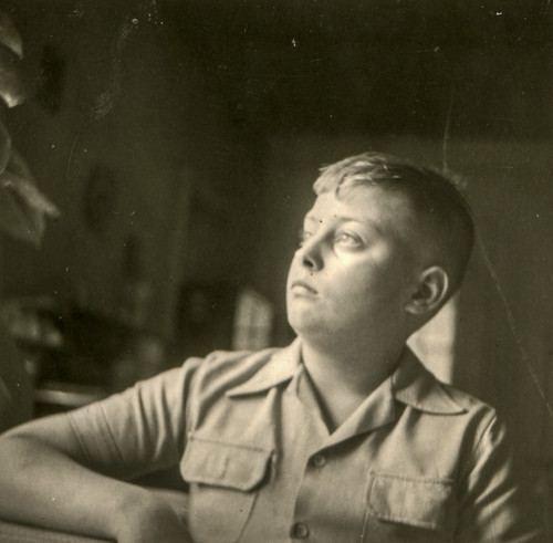 Cine a scris DE VEGHE ÎN LANUL DE SECARĂ?