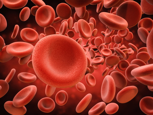 Ce grupa de sange este donator universal?