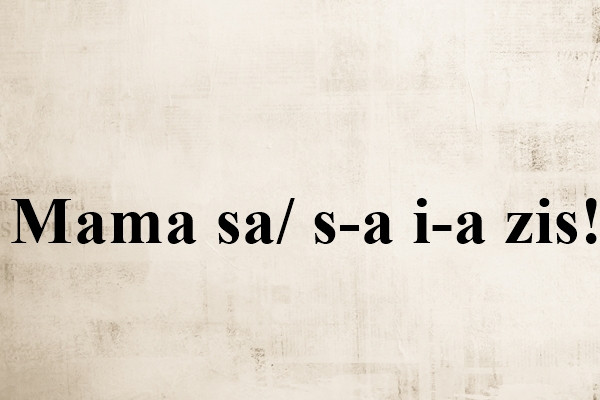 Cum se scrie corect: S-a sau Sa?