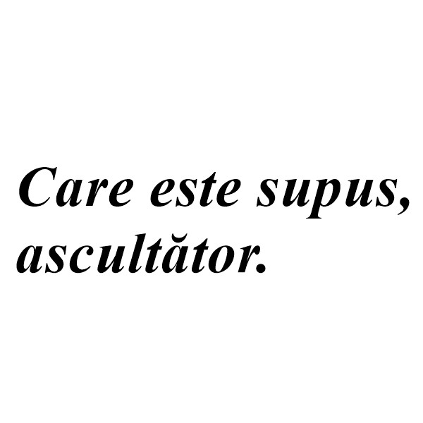 Recunosti acest cuvant?