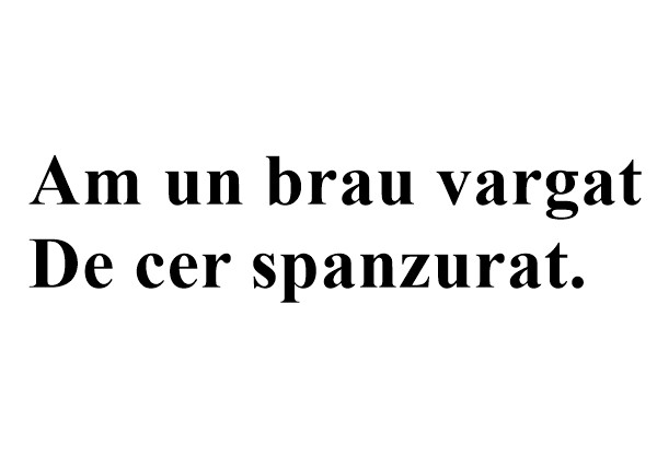 Ghici, ciuperca, ce-i!