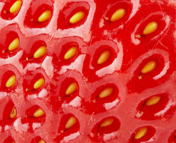 Ce obiect apare aici fotografiat de aproape?