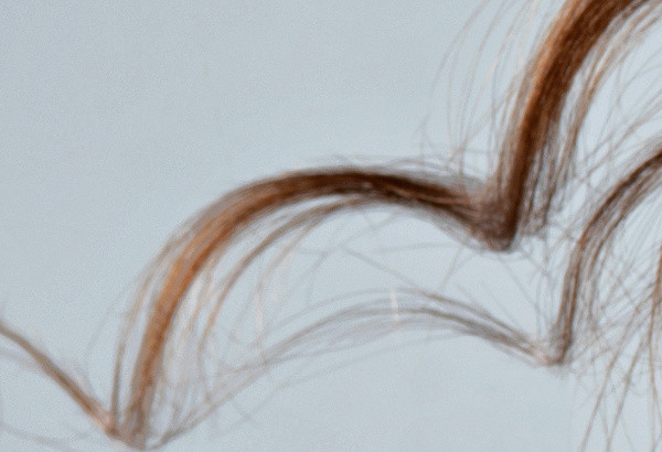 Ce obiect apare aici fotografiat de aproape?