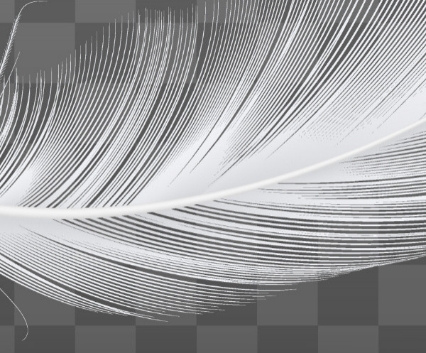 Ce obiect apare aici fotografiat de aproape?