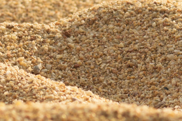 Ce obiect apare aici fotografiat de aproape?