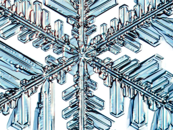 Ce obiect apare aici fotografiat de aproape?