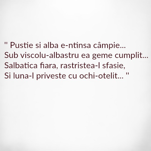 Cine a scris aceste versuri?