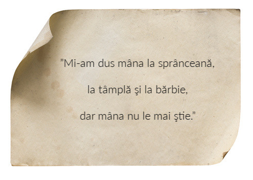 Din ce poezie sunt citate aceste versuri?