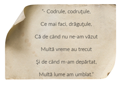 Din ce poezie sunt citate aceste versuri? 