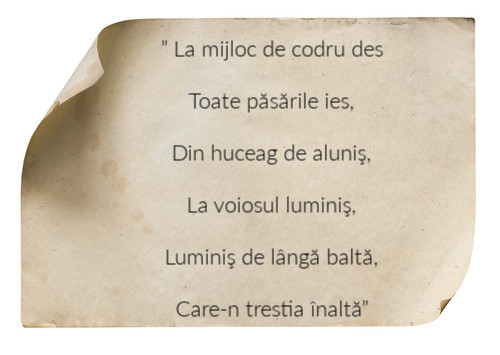 Din ce poezie sunt citate aceste versuri?