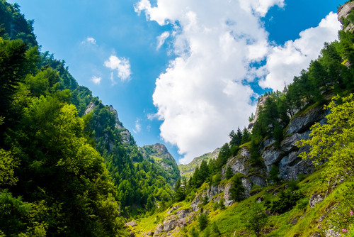 Care este varful cel mai inalt din Muntii Bucegi? 