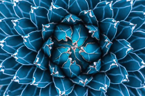 Cum te face sa te simti aceasta imagine?