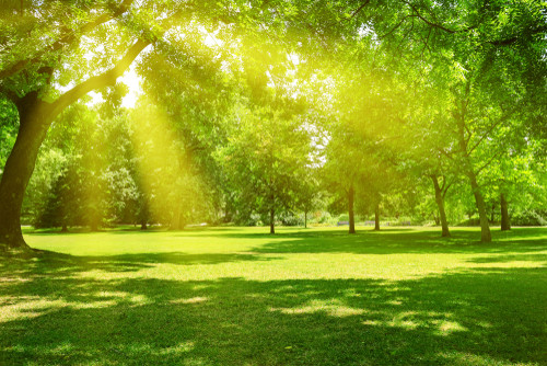 Care e cel mai mare parc din Bucuresti?