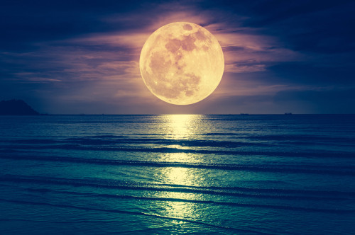Cine a compus Clair de Lune?