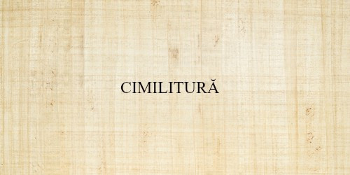 Care este sinonimul acestui cuvant?