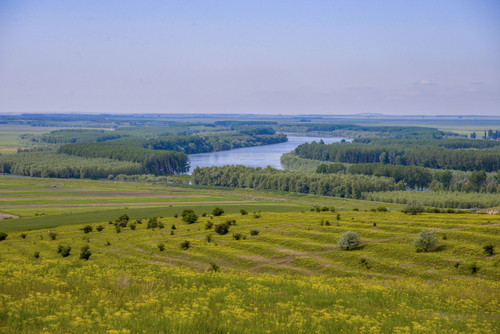 Ce este cernoziomul?