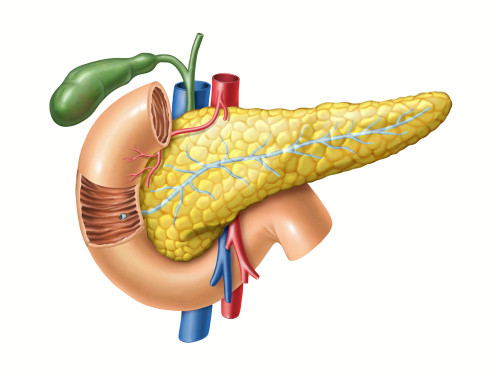 Adevarat sau fals: Insulina este produsa in pancreas.