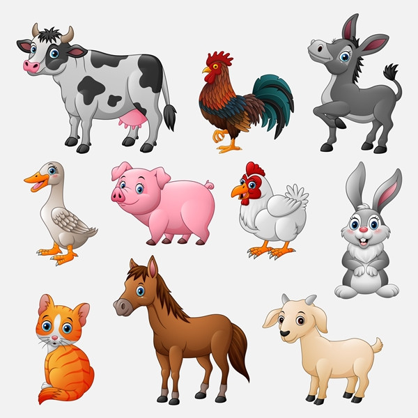 Adevarat sau Fals: Toate animalele domestice sunt erbivore.