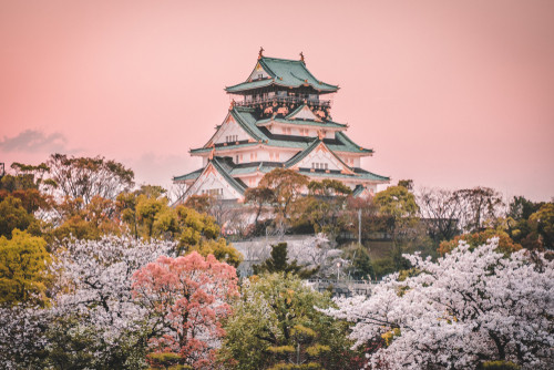Sakura desemneaza florile de...