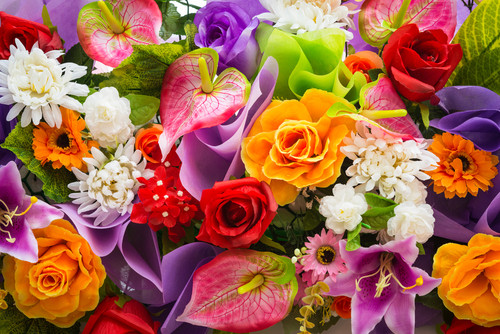 Alege-ti zodia din zodiacul floral in functie de ziua in care te-ai nascut! 