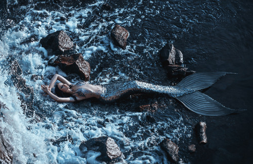 Cine a scris Mica Sirena?