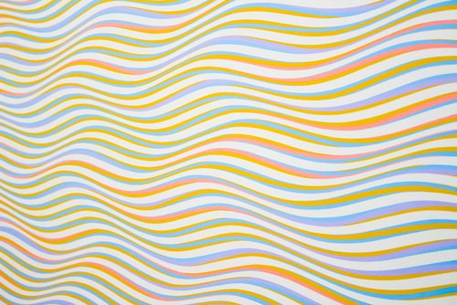 Fara ce nu ai putea supravietui in anul ce urmeaza? 