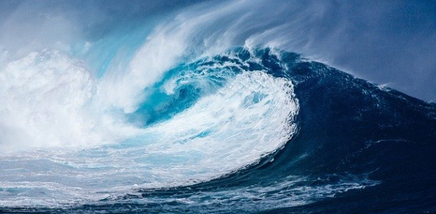 Care sunt oceanele lumii?