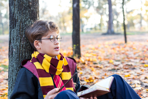 Cine a scris seria de romane Harry Potter?