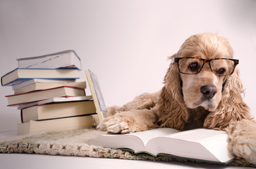 Cine este poetul care a scris Zdreanta (cel cu ochii e faianta)?