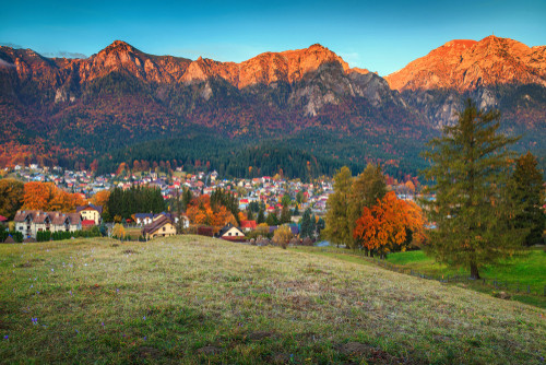 Care este resedinta judetului Prahova?