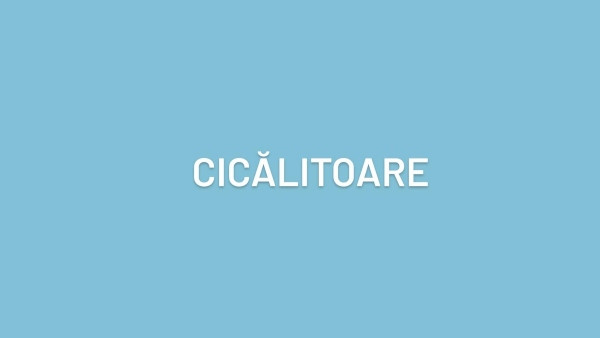 Cum se desparte corect in silabe acest cuvant?
