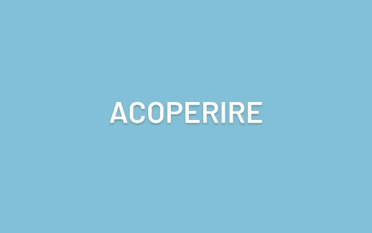 Cum se desparte corect in silabe acest cuvant?
