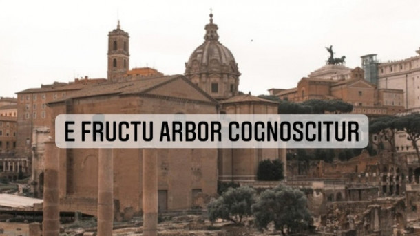 Care este traducerea acestei expresii?