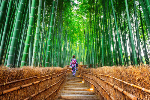 In ce tara se afla orasul Kyoto?