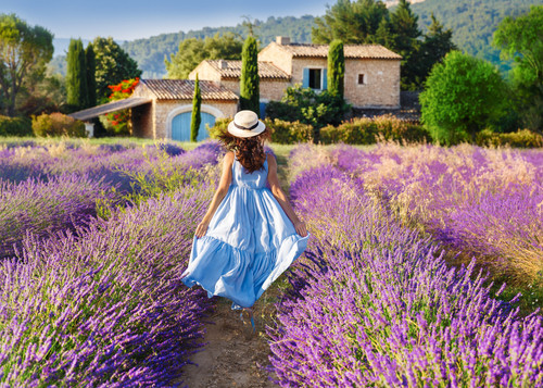 In ce tara se afla orasul Provence?