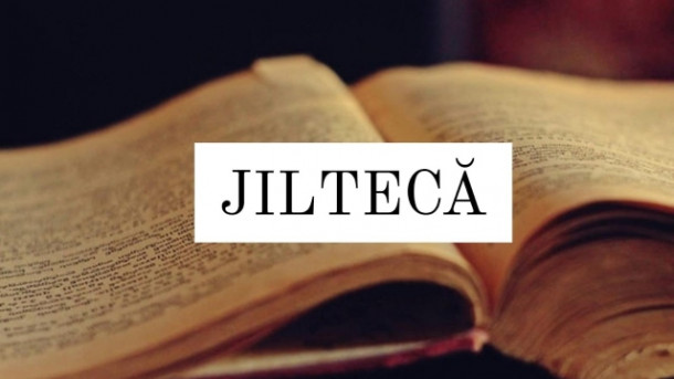 Care este definitia corecta a acestui cuvant?