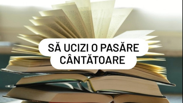 Cine este autorul acestui roman?