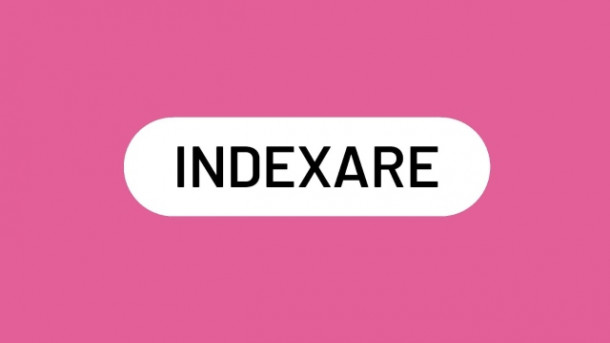 Care este definitia corecta a acestui neologism?