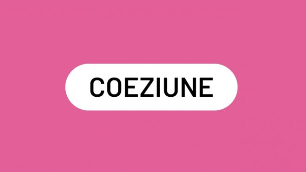Care este definitia corecta a acestui neologism?