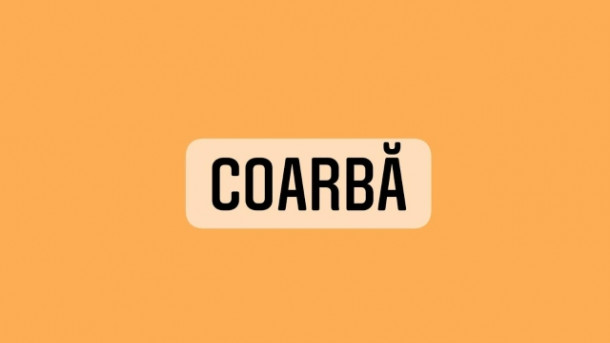 Care este definitia corecta a acestui cuvant?
