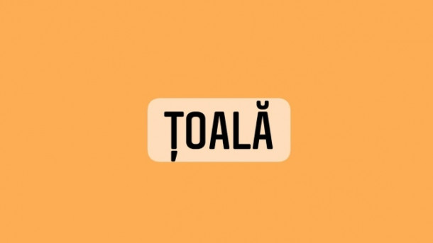 Care este definitia corecta a acestui cuvant?