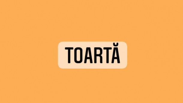 Care este definitia corecta a acestui cuvant?