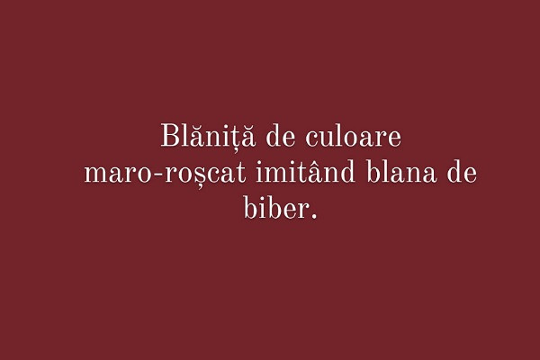 Carui cuvant i se potriveste aceasta definitie?