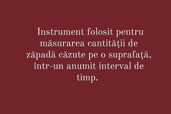 Carui cuvant i se potriveste aceasta definitie?