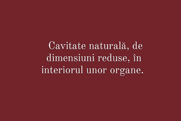 Carui cuvant i se potriveste aceasta definitie?