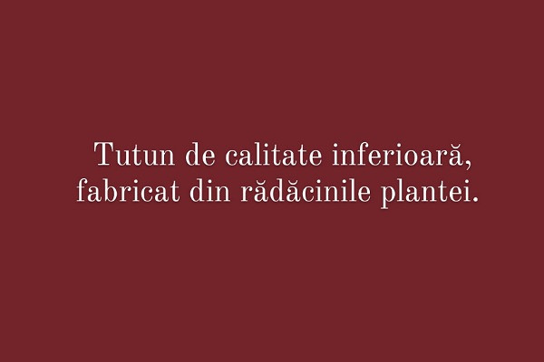 Carui cuvant i se potriveste aceasta definitie?