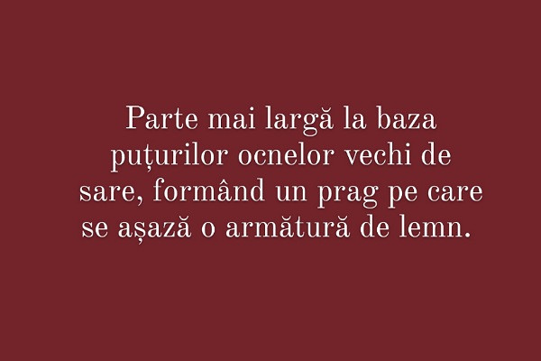 Carui cuvant i se potriveste aceasta definitie?