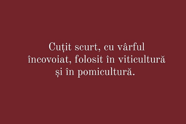 Carui cuvant i se potriveste aceasta definitie?