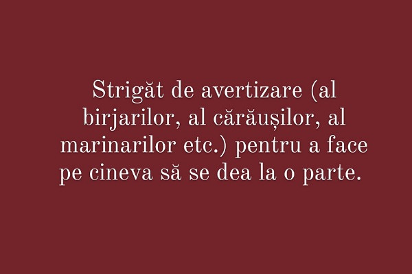 Carui cuvant i se potriveste aceasta definitie?