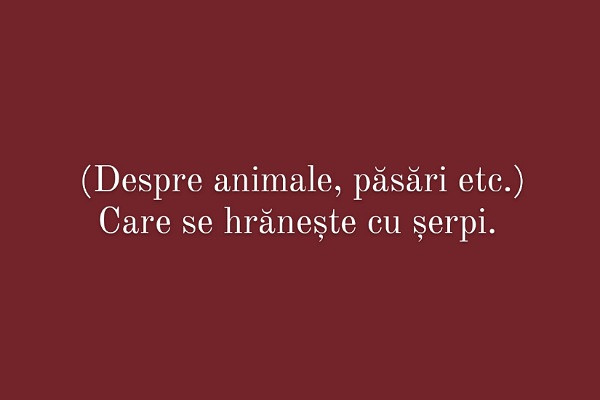 Carui cuvant i se potriveste aceasta definitie?
